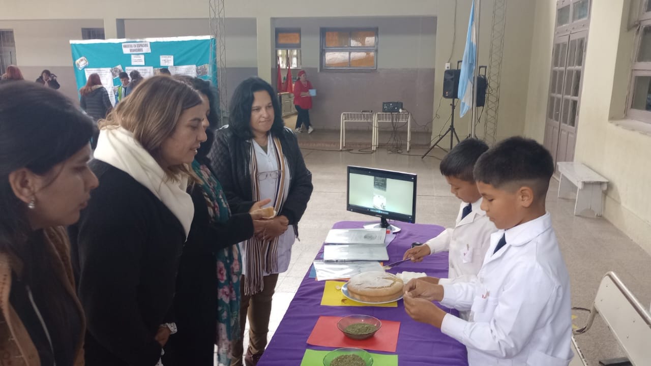 Instancia departamental de Feria de Ciencias en El Alto6