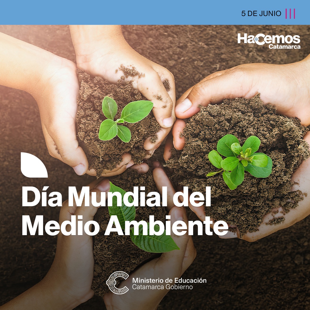 Medio ambiente