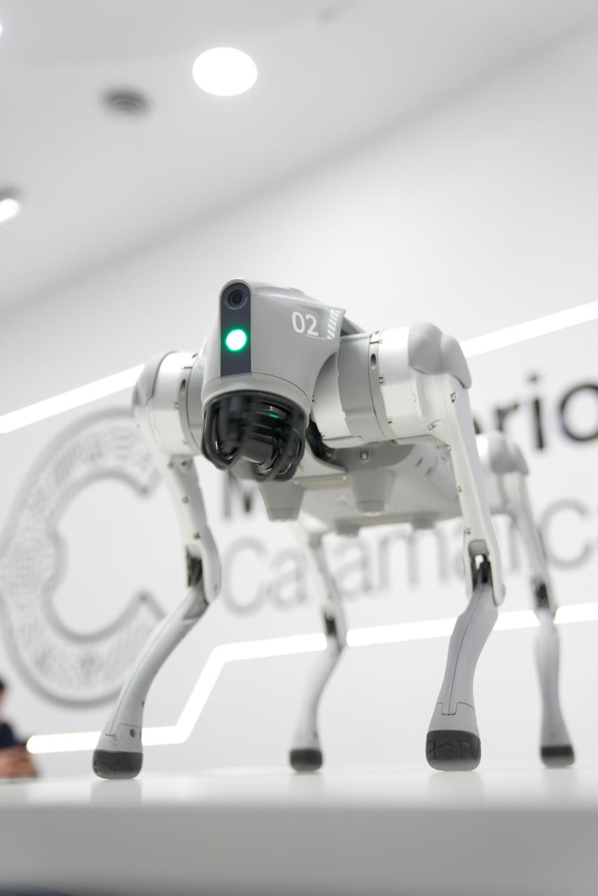 WhatsApp Image 2025-12-05 at 10.07.36