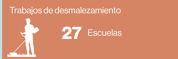 desmalezamiento