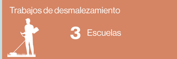 desmalezamiento mayo