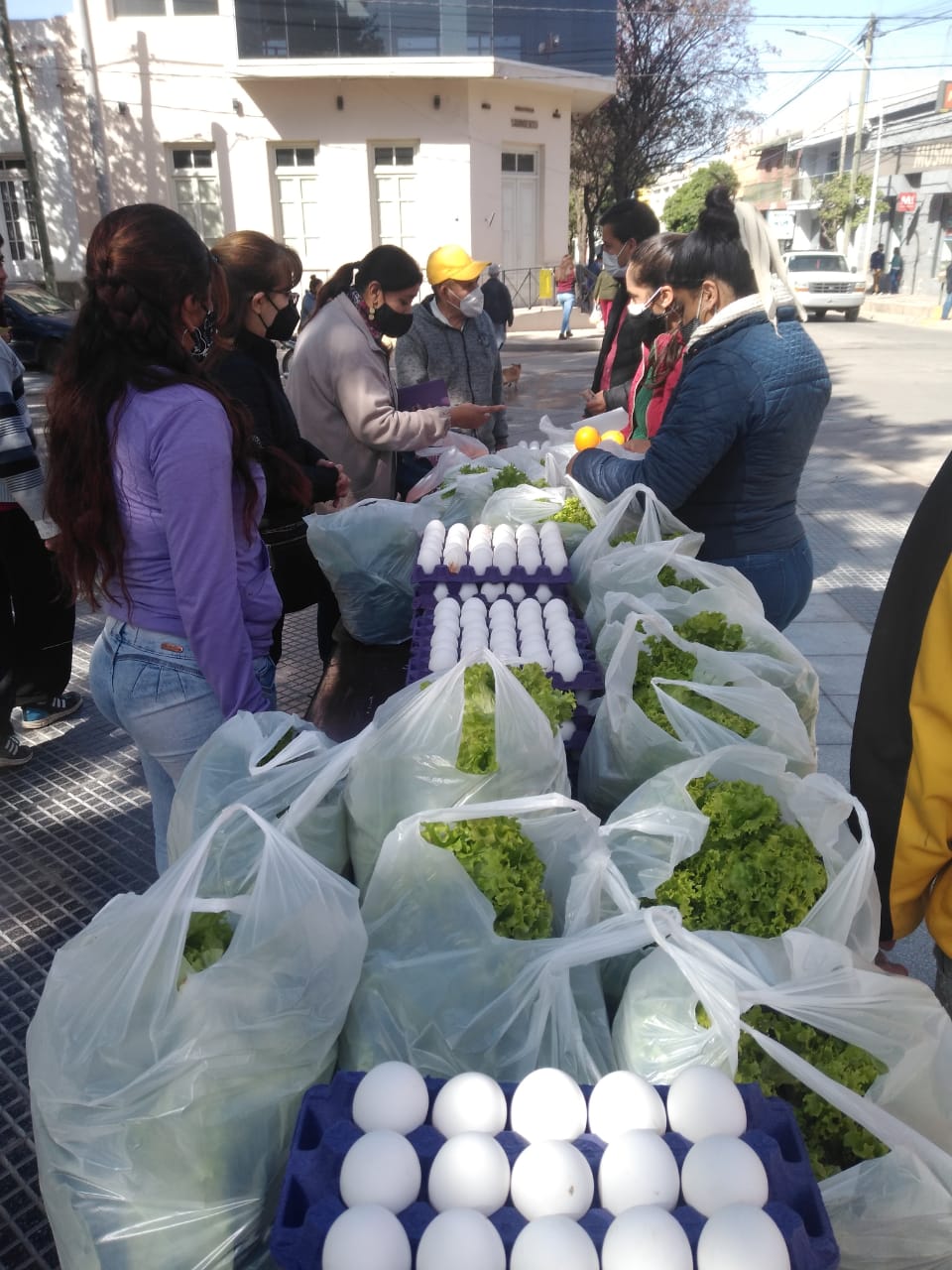Alumnos de la Escuela Agrotecnica de Huaco aprenden a comercializar frutas y verduras 