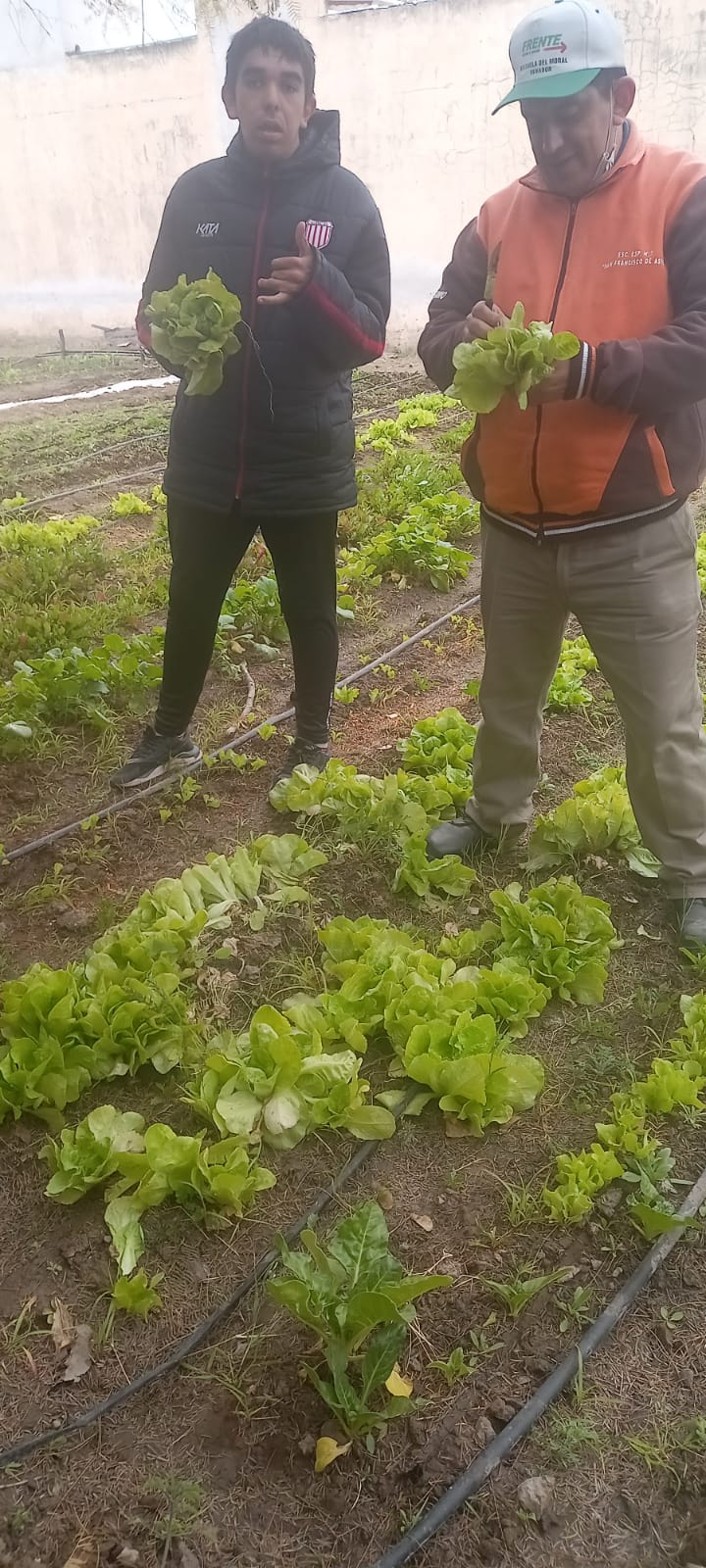Alumnos de la Escuela Especial Nº7 cosecharon  verduras de su Huerta Escolar3
