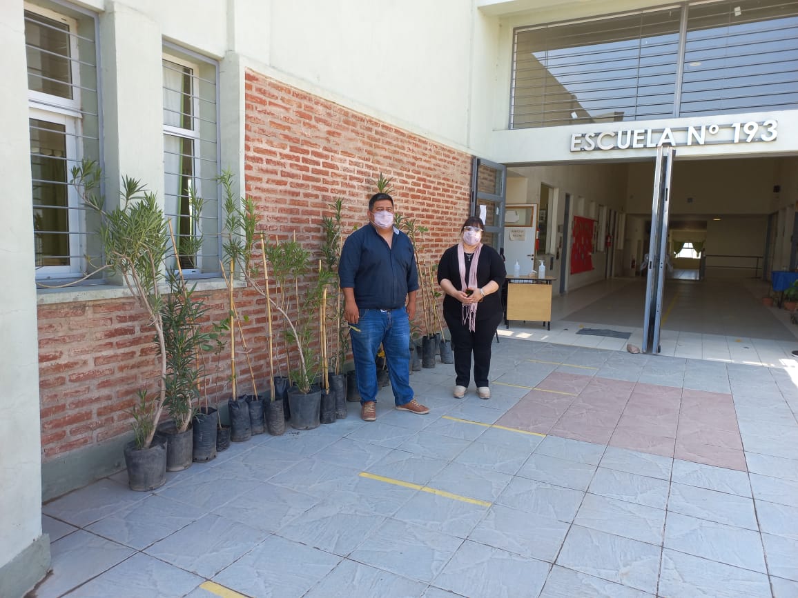 Entregan especies arbustivas al Centro Educativo Multinivel N 2 de Valle Chico